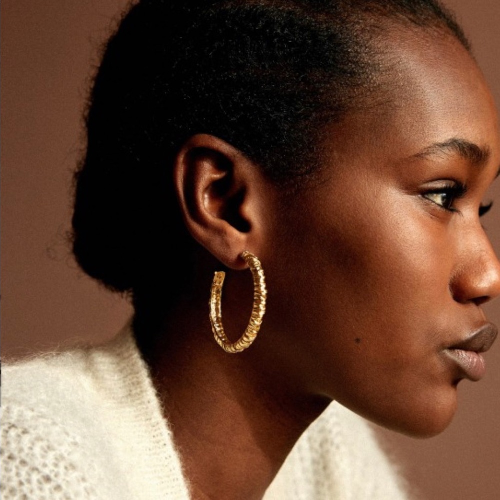 In search of Sezane hoops!